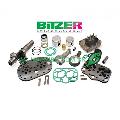 Bitzer Parts